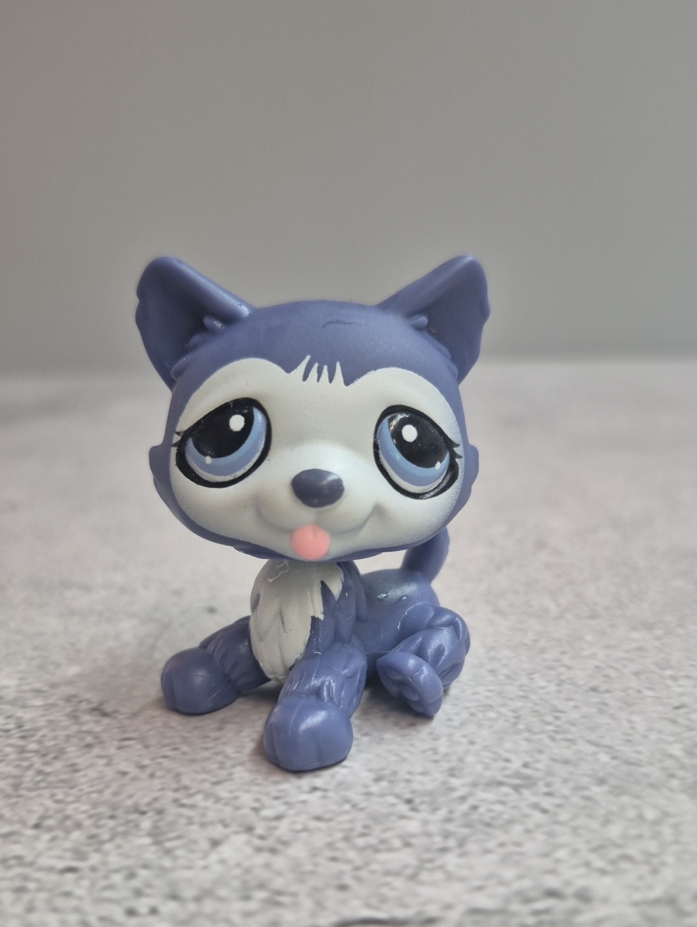 Littlest Pet Shop Husky #785/900